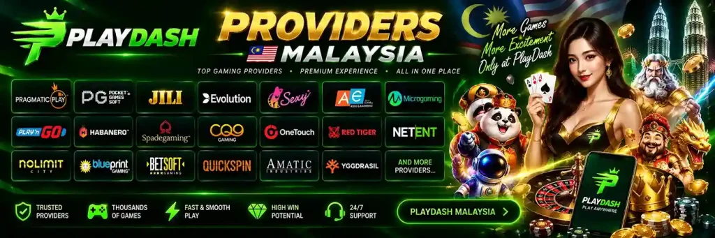PlayDash Providers