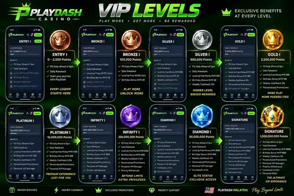 Playdash vip